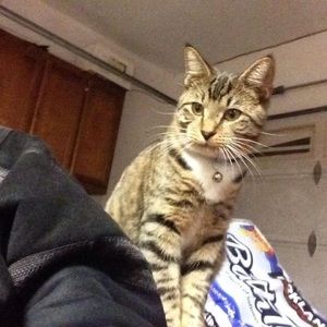 Meet your Posher, Yusuf